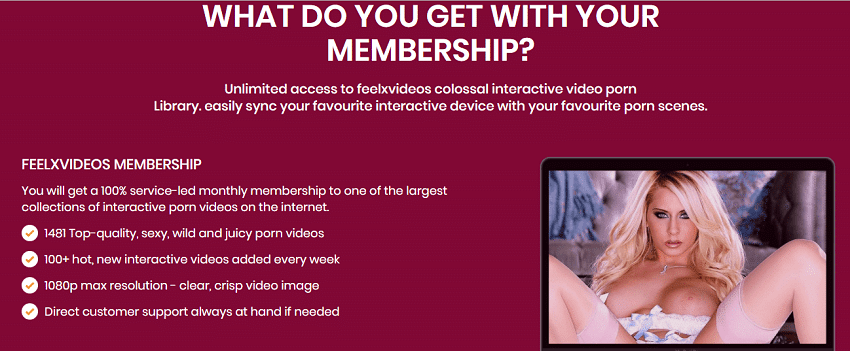 feelxvideos membership
