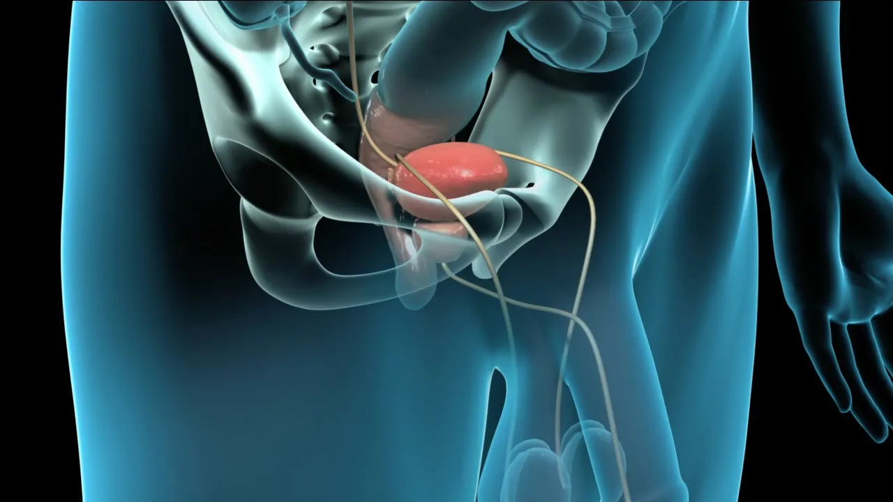 How to Massage Your Prostate