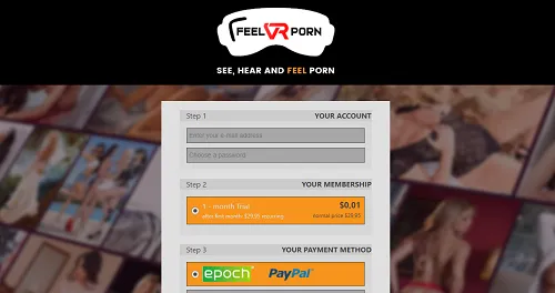 feelvrporn fees