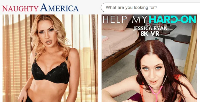 interactive websites support handy