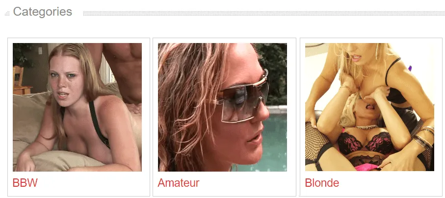 sensesporn membership feel hottest pornstars