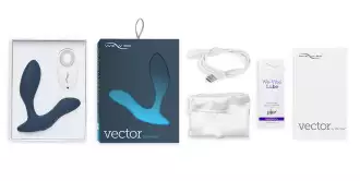 wevibe vector in the box